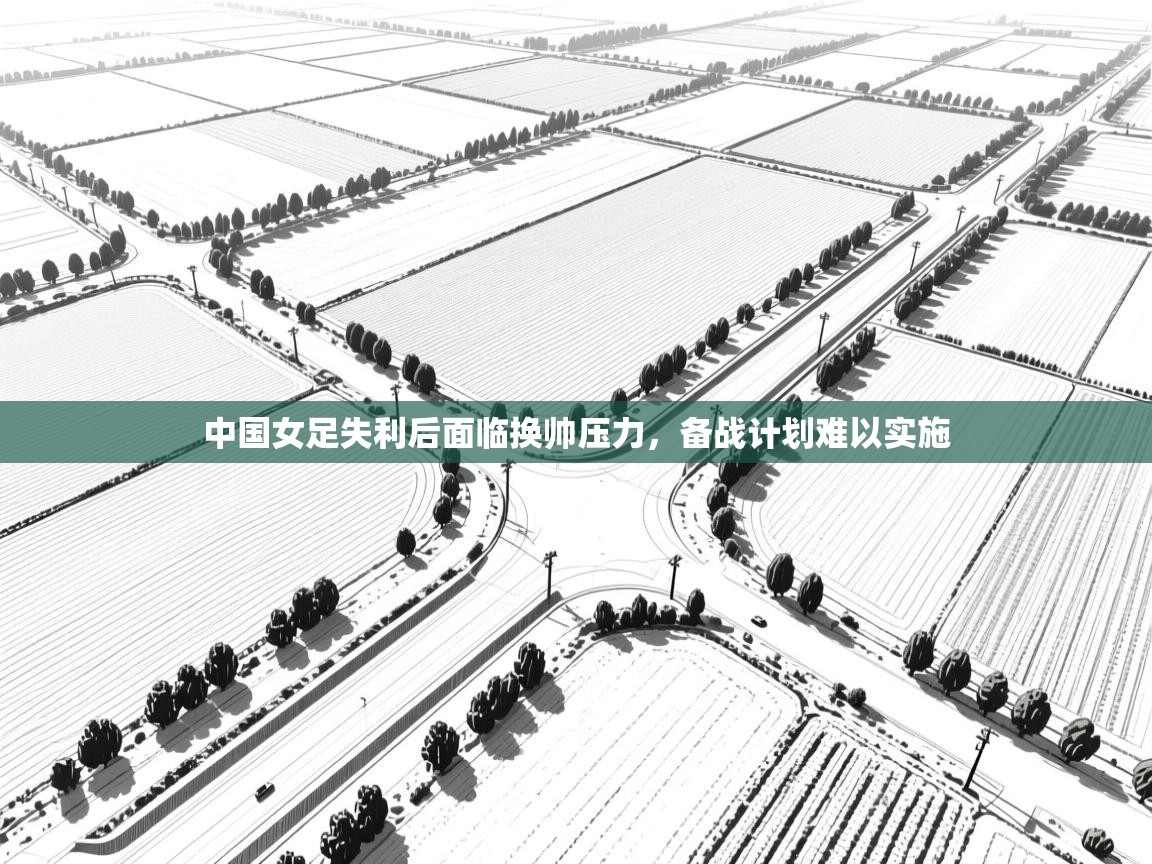 中国女足失利后面临换帅压力，备战计划难以实施  第2张