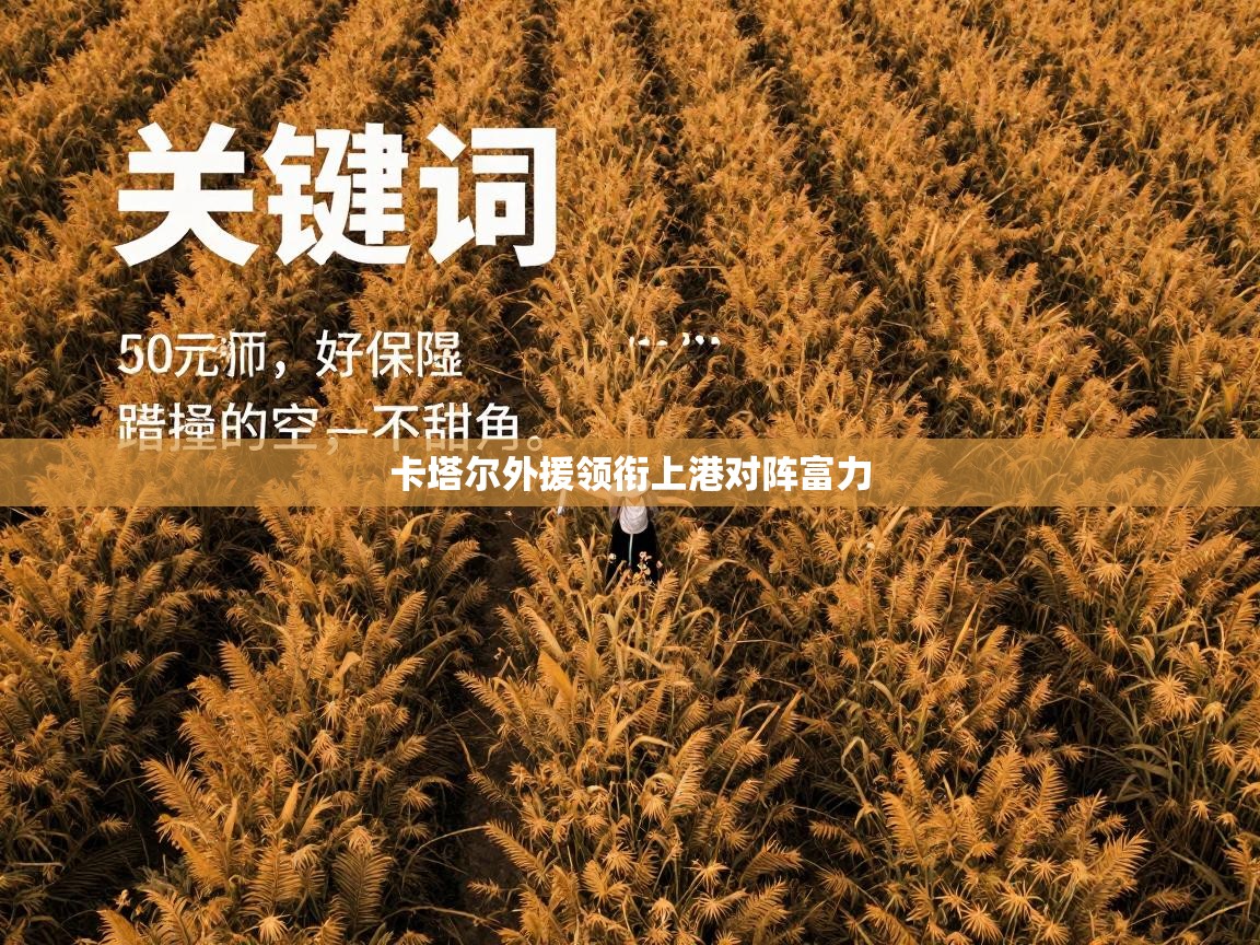 卡塔尔外援领衔上港对阵富力  第2张