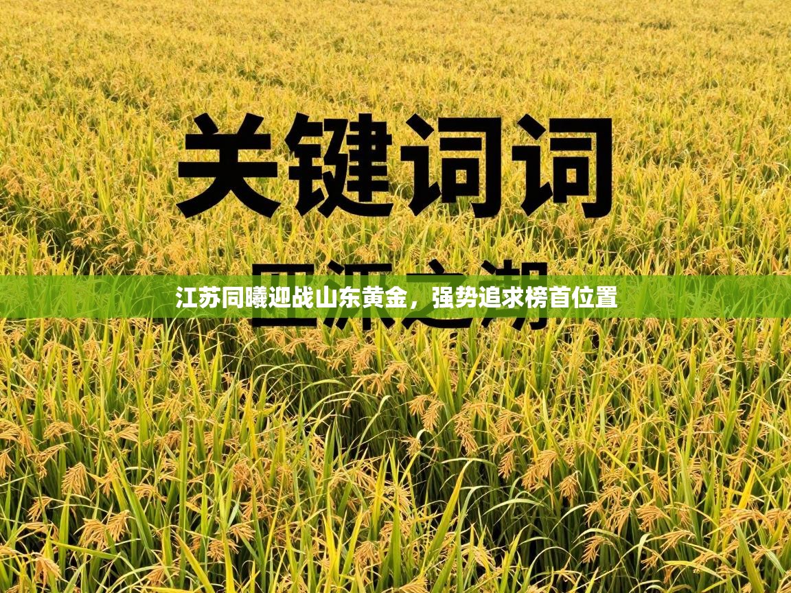 江苏同曦迎战山东黄金，强势追求榜首位置  第1张