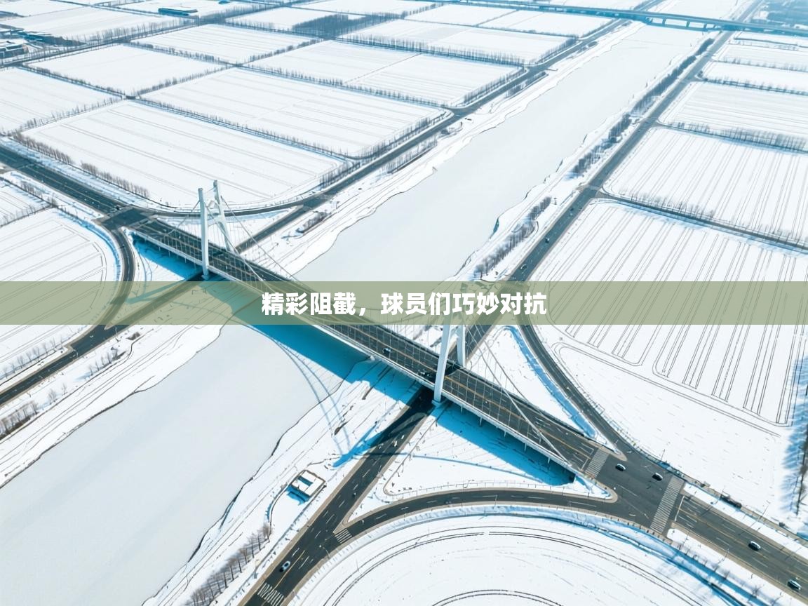 精彩阻截，球员们巧妙对抗  第1张